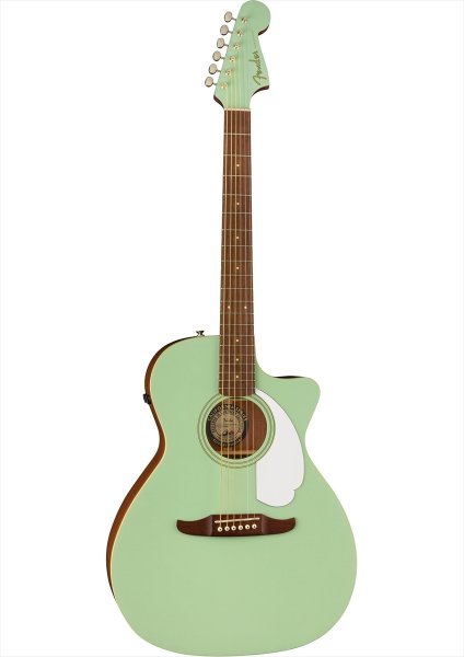 画像1: Fender　Newporter Player Surf Green (1)