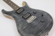 画像5: PRS (Paul Reed Smith)　SE Custom 24 Chacoal (5)