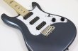 画像5: PRS (Paul Reed Smith)　SE NF3 Maple Gun Metal Gray (5)