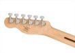 画像6: Squier by Fender　Squier Sonic Telecaster Butterscotch Blonde (6)