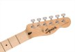 画像5: Squier by Fender　Squier Sonic Telecaster Butterscotch Blonde (5)