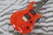 画像3: PRS (Paul Reed Smith)　SE CE 24 Blood Orange (3)